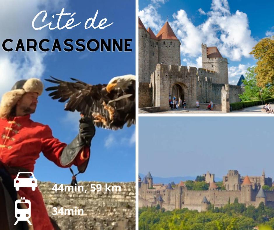 Le Spacieux Anatole, T3 Bis, Centre Ville Narbonne Kültér fotó